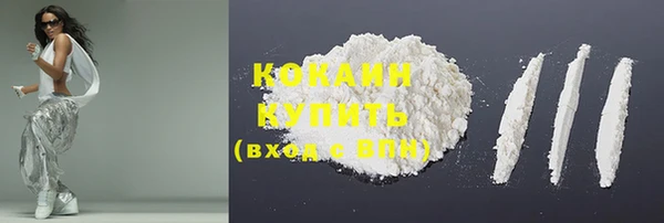 крисы Зерноград