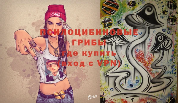 гидропоника Зеленодольск