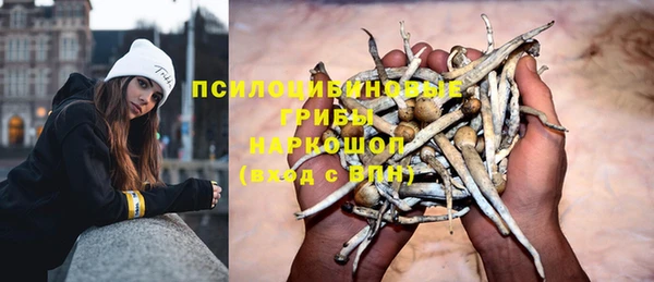 гидропоника Зеленодольск