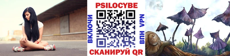 Галлюциногенные грибы Psilocybe  где купить наркотик  Спас-Деменск 